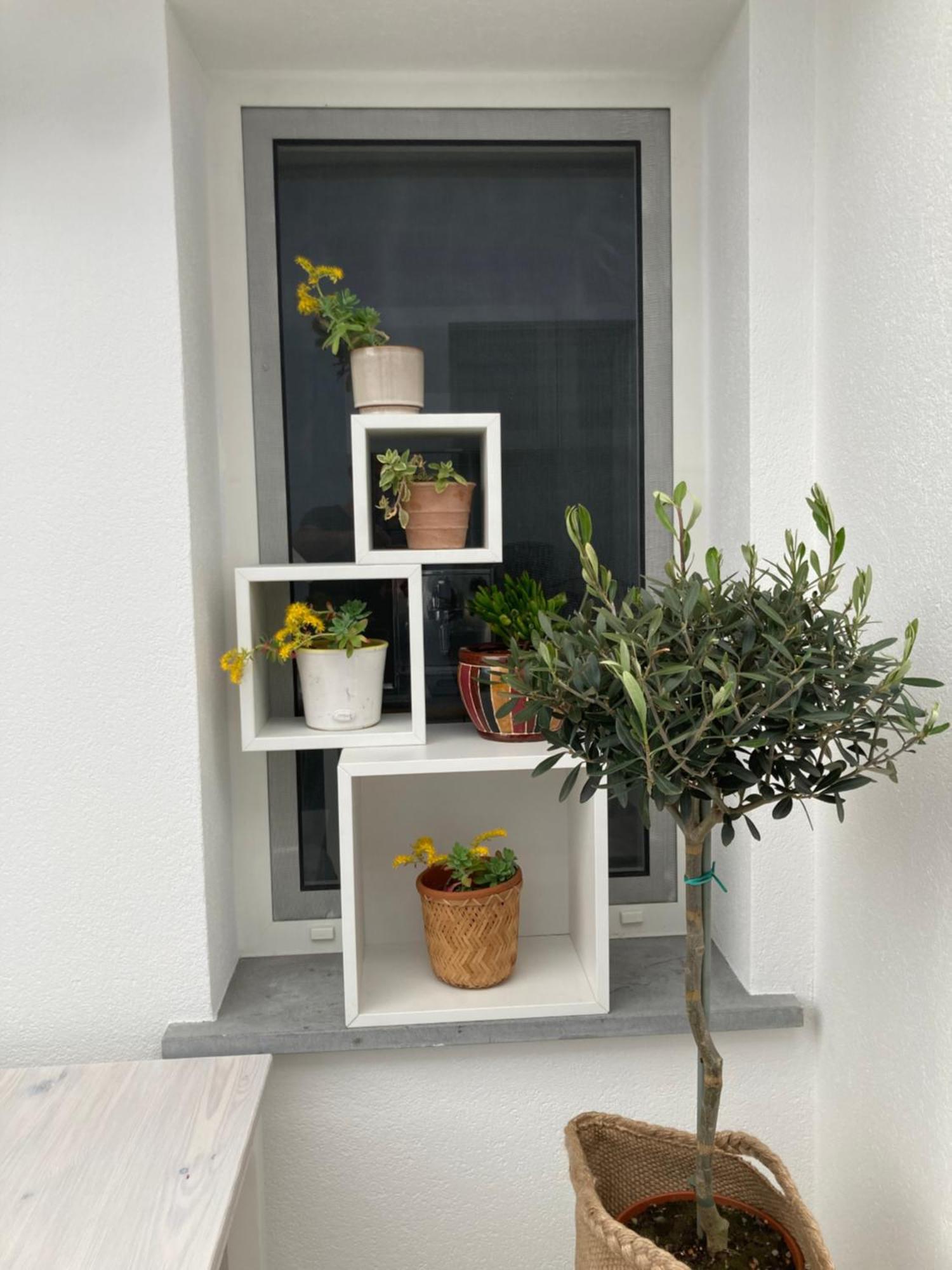 Casa Di Mirea Acomodação com café da manhã Grado Exterior foto